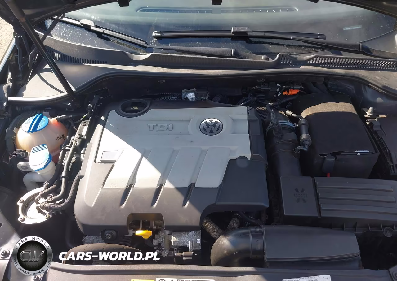 2014 Volkswagen Golf 2.0L Tdi VIN:WVWNM7AJ4EW006642 - 10