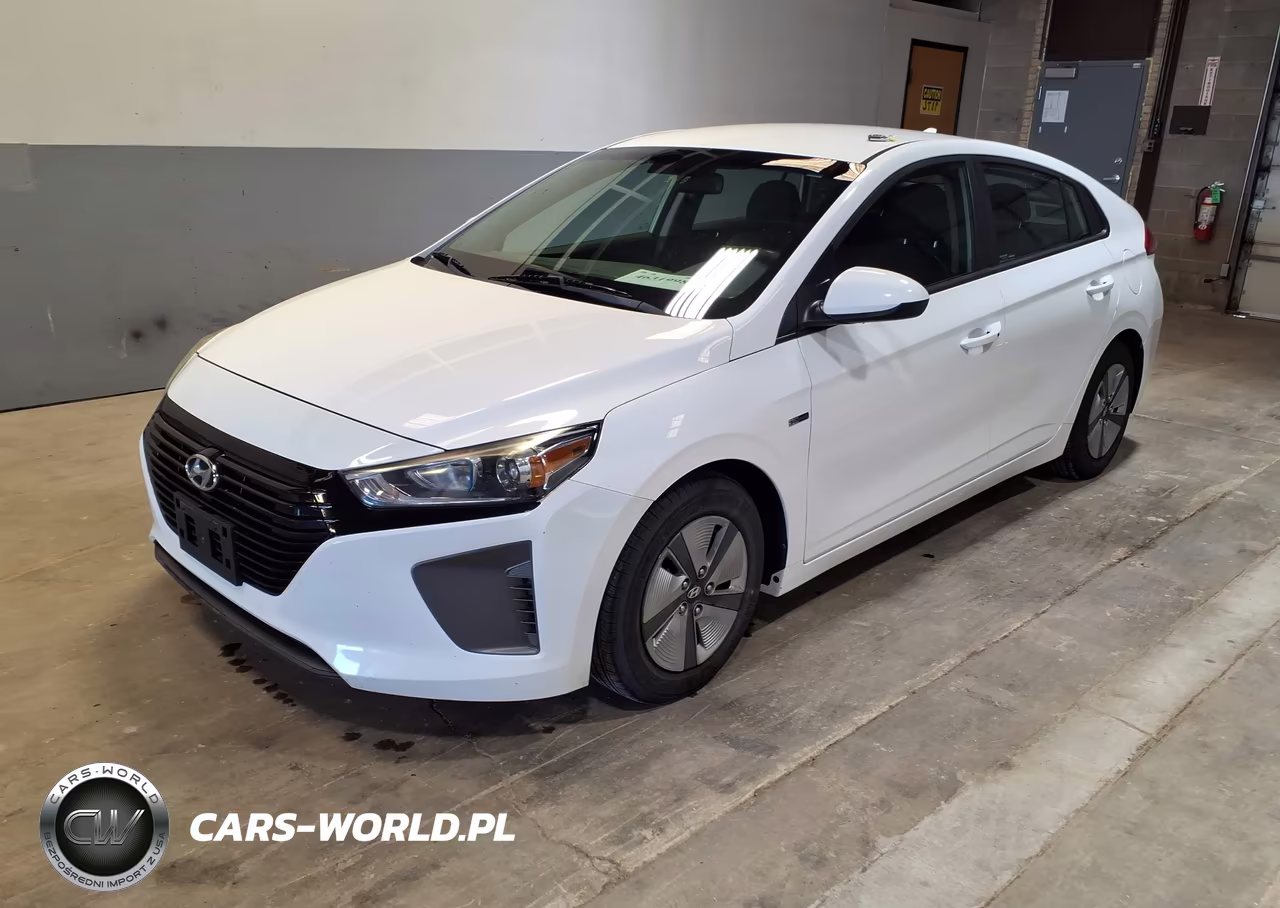 2019 Hyundai Ioniq Hybrid Blue VIN:KMHC65LC1KU160166 - 2