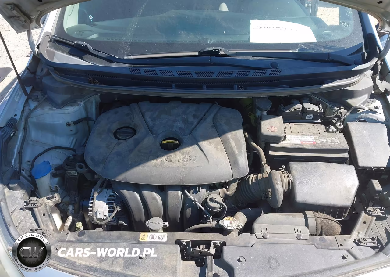 2015 Kia Forte Lx VIN:KNAFK4A65F5338548 - 10