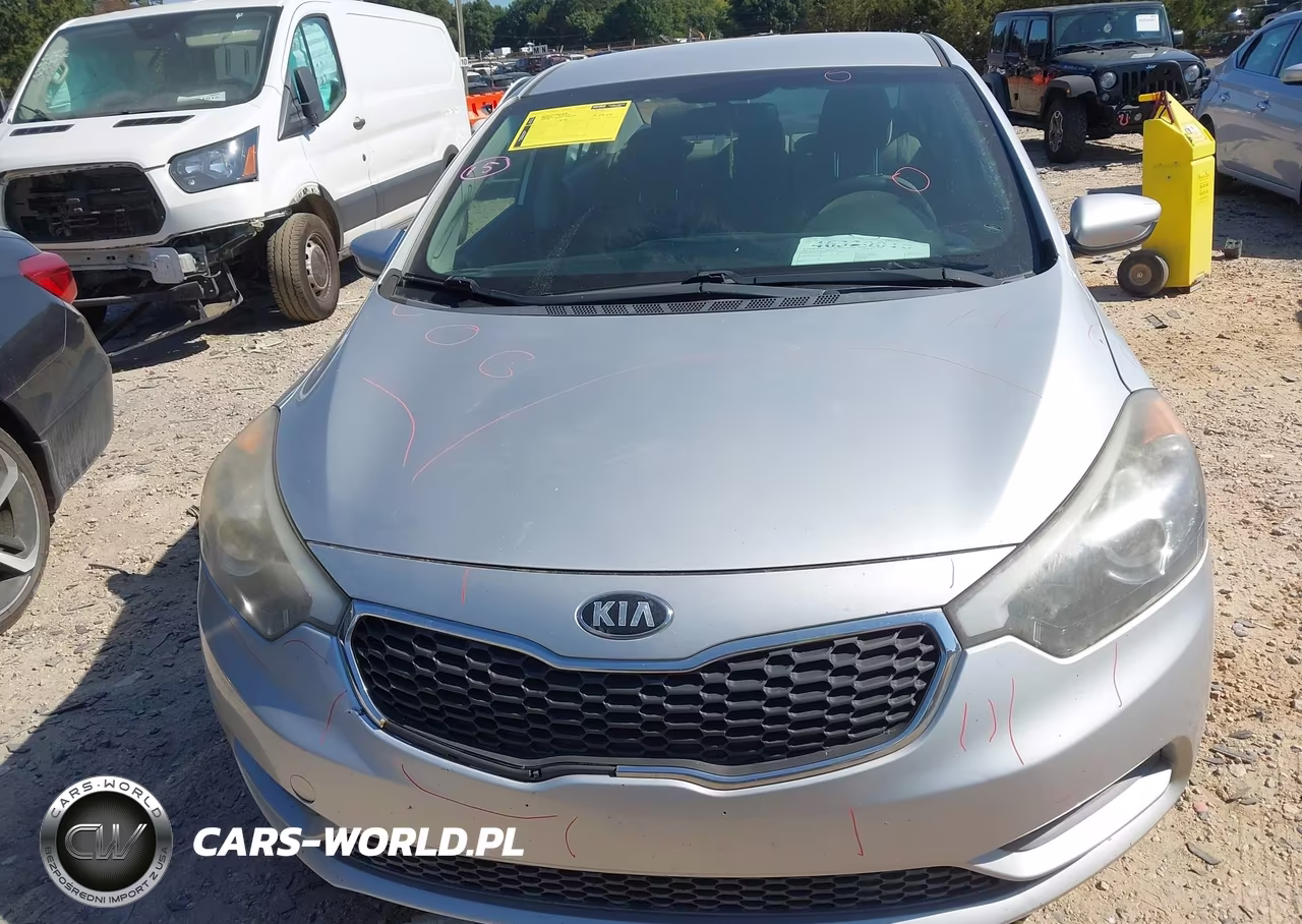 2015 Kia Forte Lx VIN:KNAFK4A65F5338548 - 11