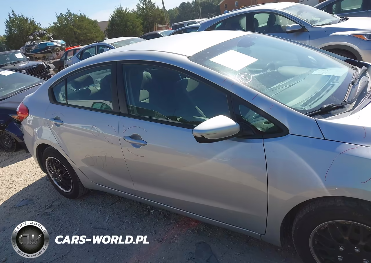 2015 Kia Forte Lx VIN:KNAFK4A65F5338548 - 12