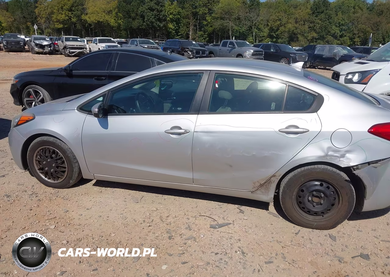 2015 Kia Forte Lx VIN:KNAFK4A65F5338548 - 13