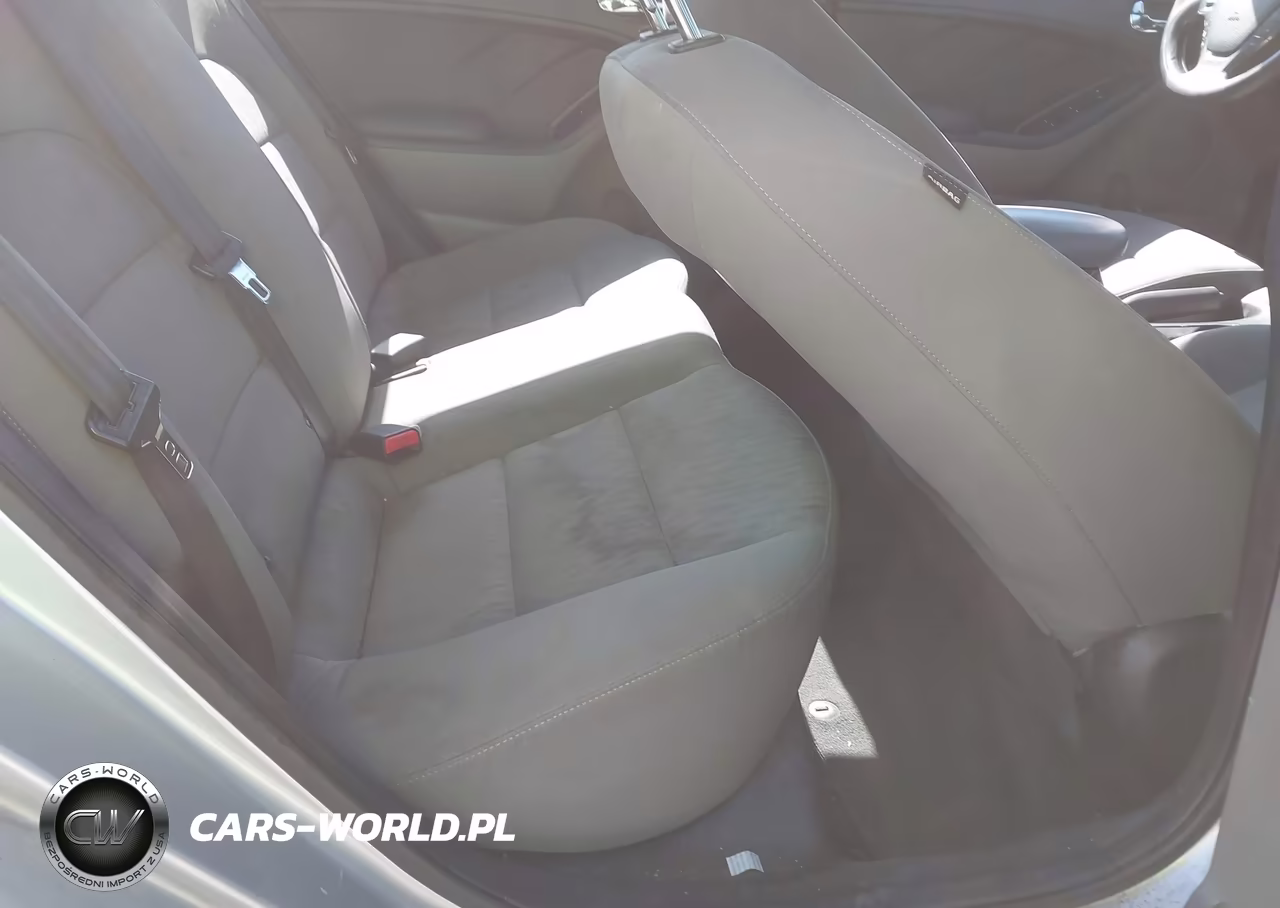 2015 Kia Forte Lx VIN:KNAFK4A65F5338548 - 8