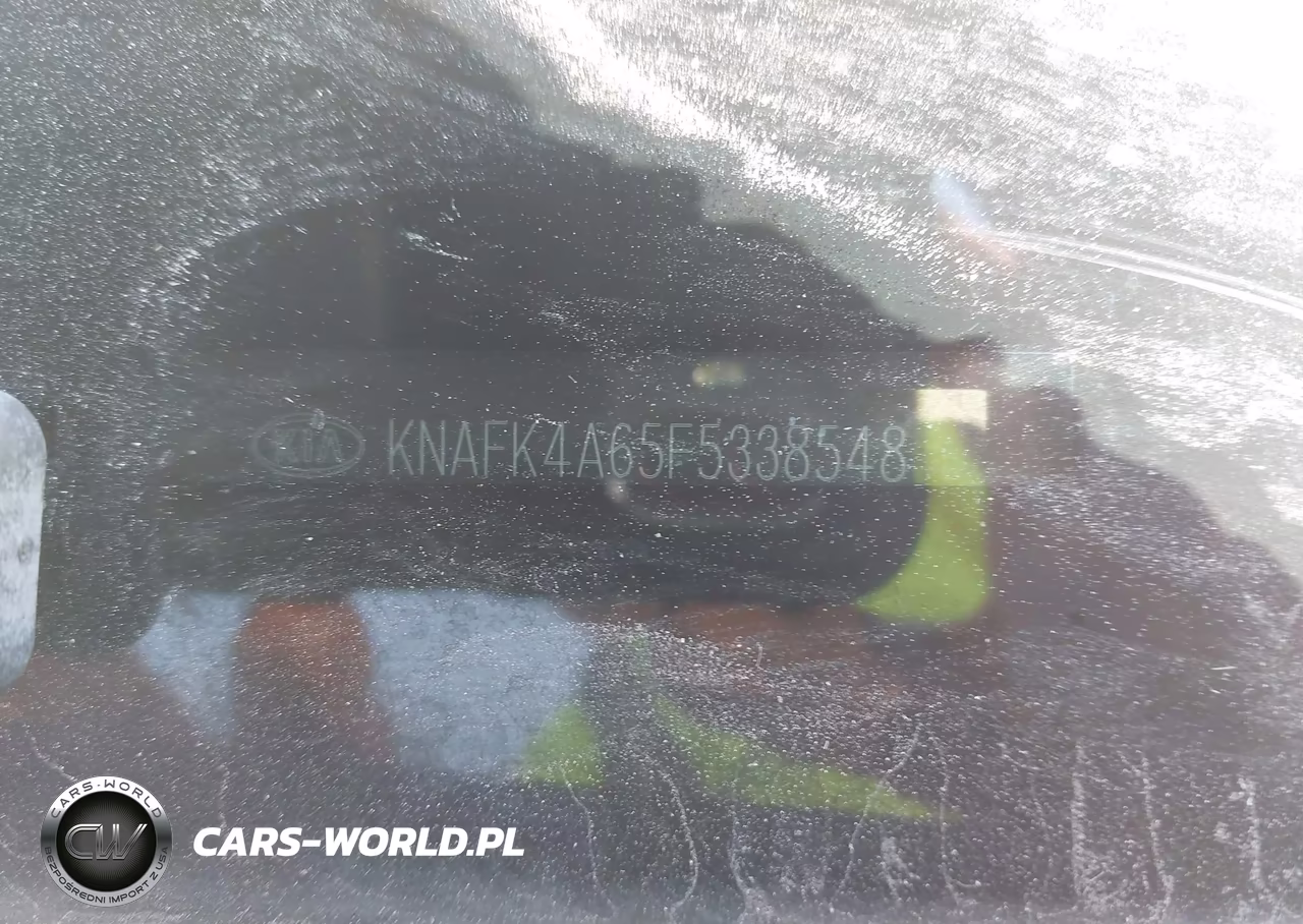 2015 Kia Forte Lx VIN:KNAFK4A65F5338548 - 9