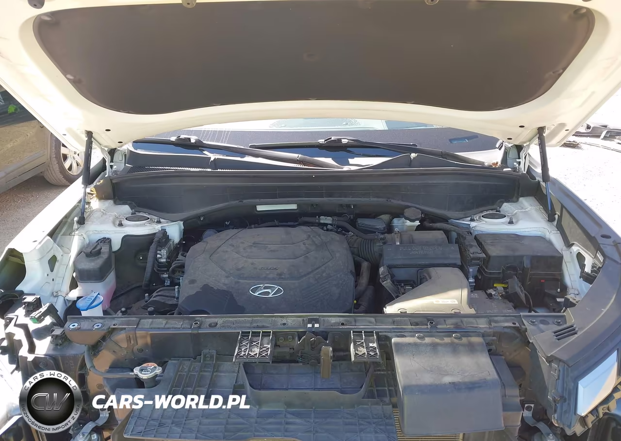 2023 Hyundai Palisade Calligraphy VIN:KM8R7DGE6PU512548 - 10