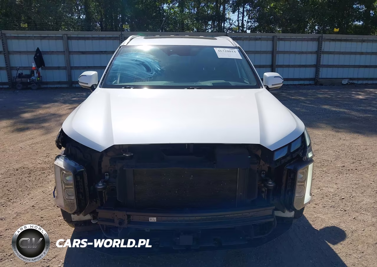 2023 Hyundai Palisade Calligraphy VIN:KM8R7DGE6PU512548 - 13