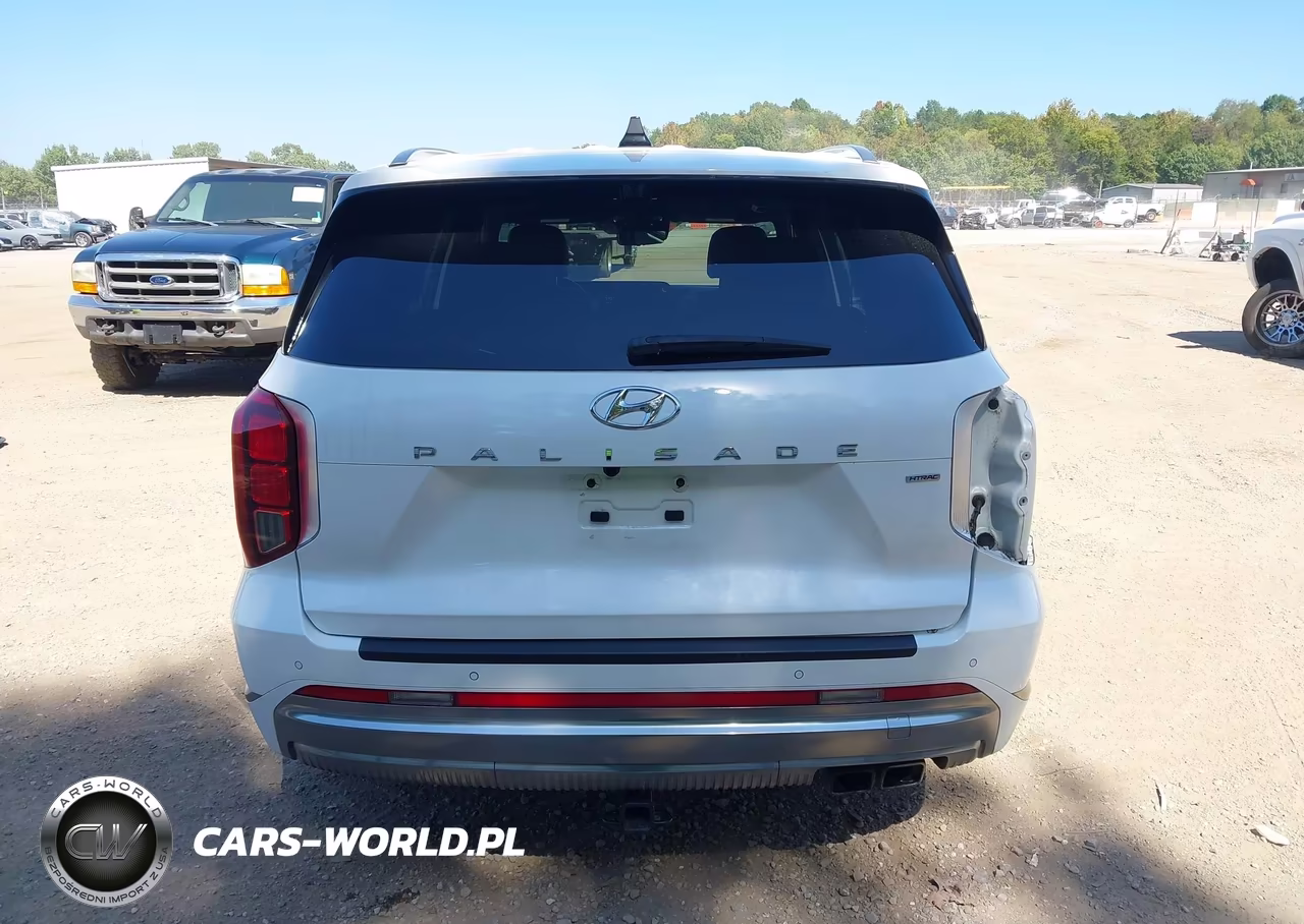 2023 Hyundai Palisade Calligraphy VIN:KM8R7DGE6PU512548 - 17