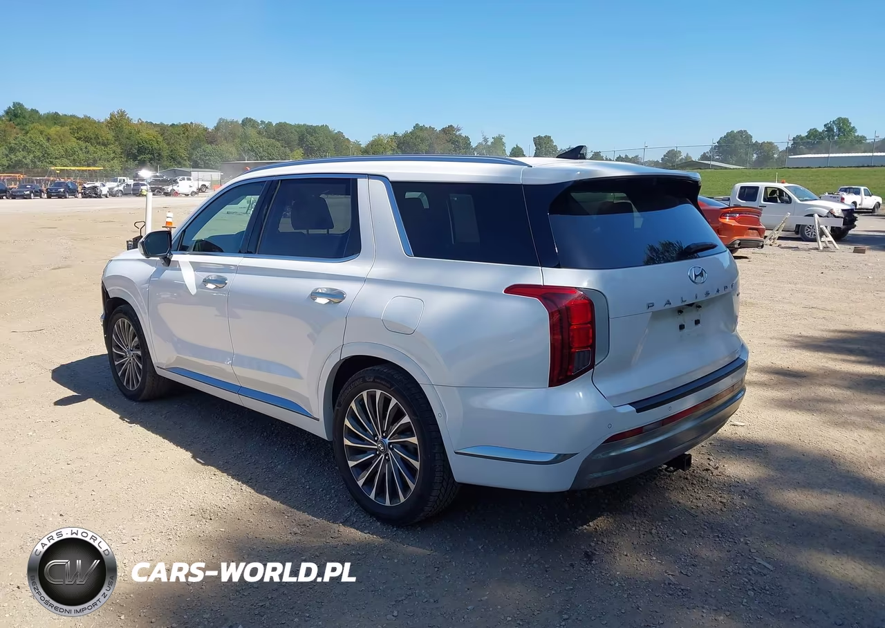 2023 Hyundai Palisade Calligraphy VIN:KM8R7DGE6PU512548 - 3