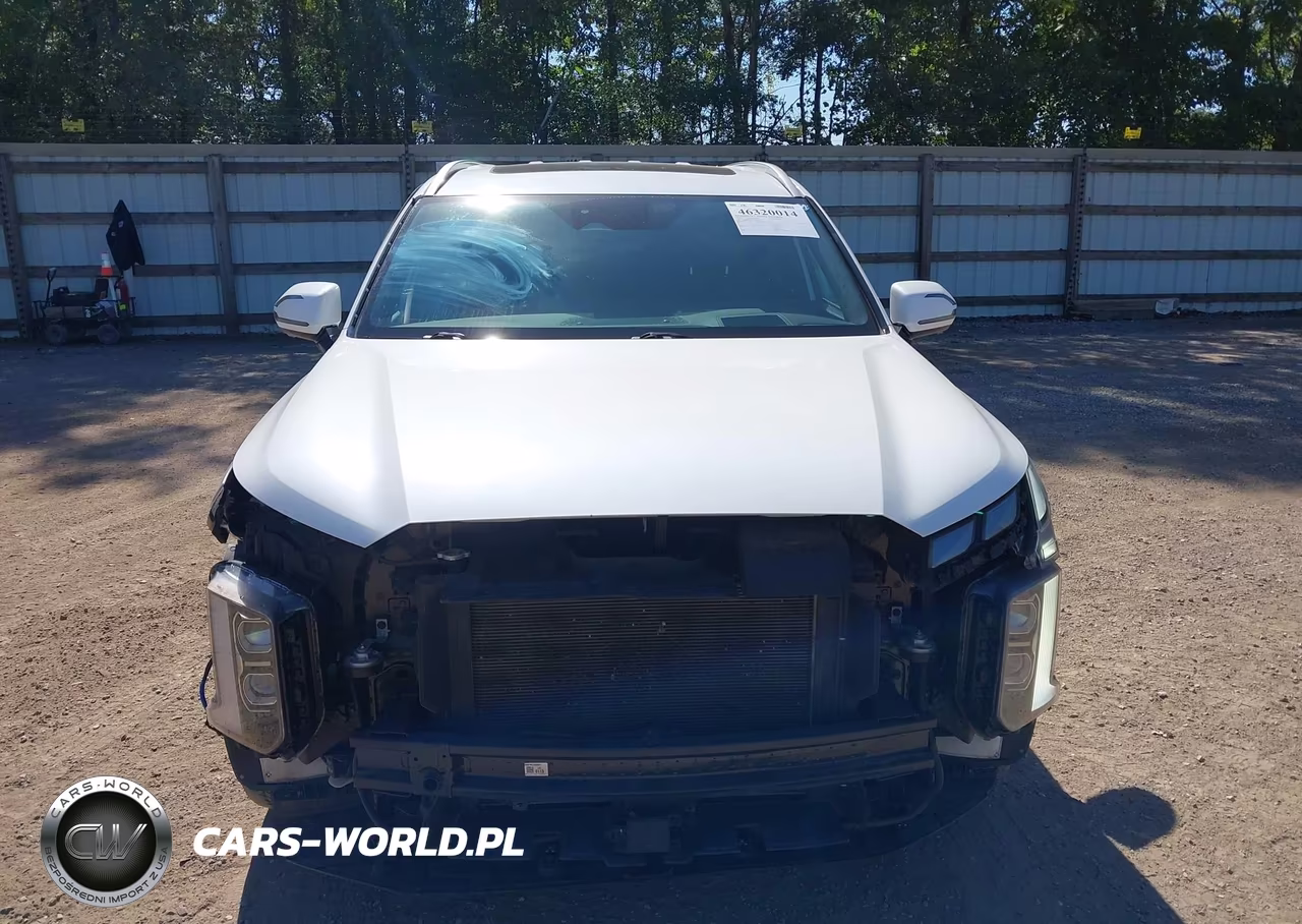 2023 Hyundai Palisade Calligraphy VIN:KM8R7DGE6PU512548 - 6