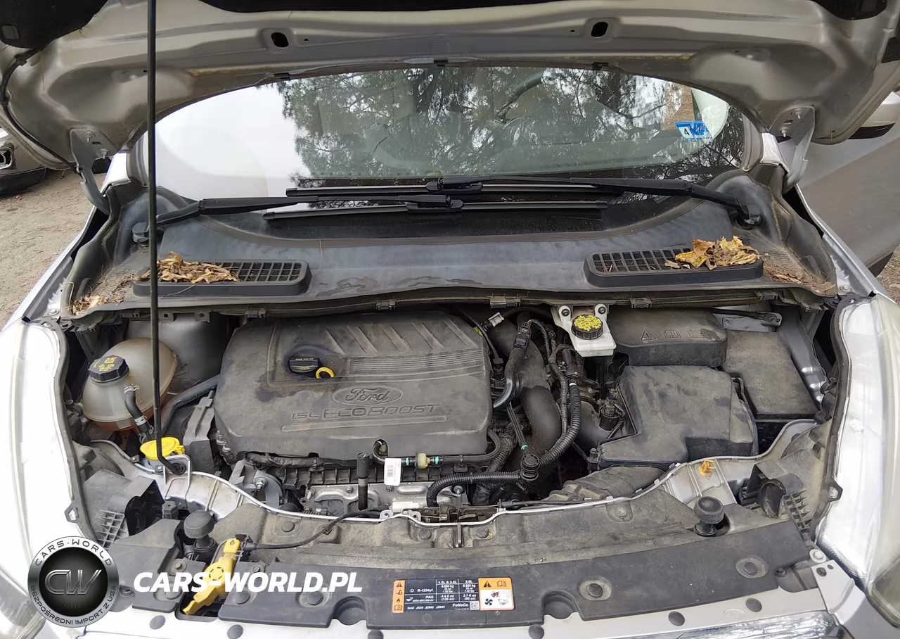 2017 Ford Escape Se VIN:1FMCU0GD7HUB97095 - 10