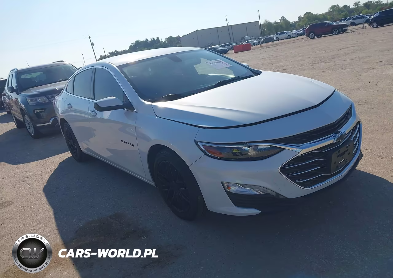 2019 Chevrolet Malibu Lt VIN:1G1ZD5ST0KF116484 - 1