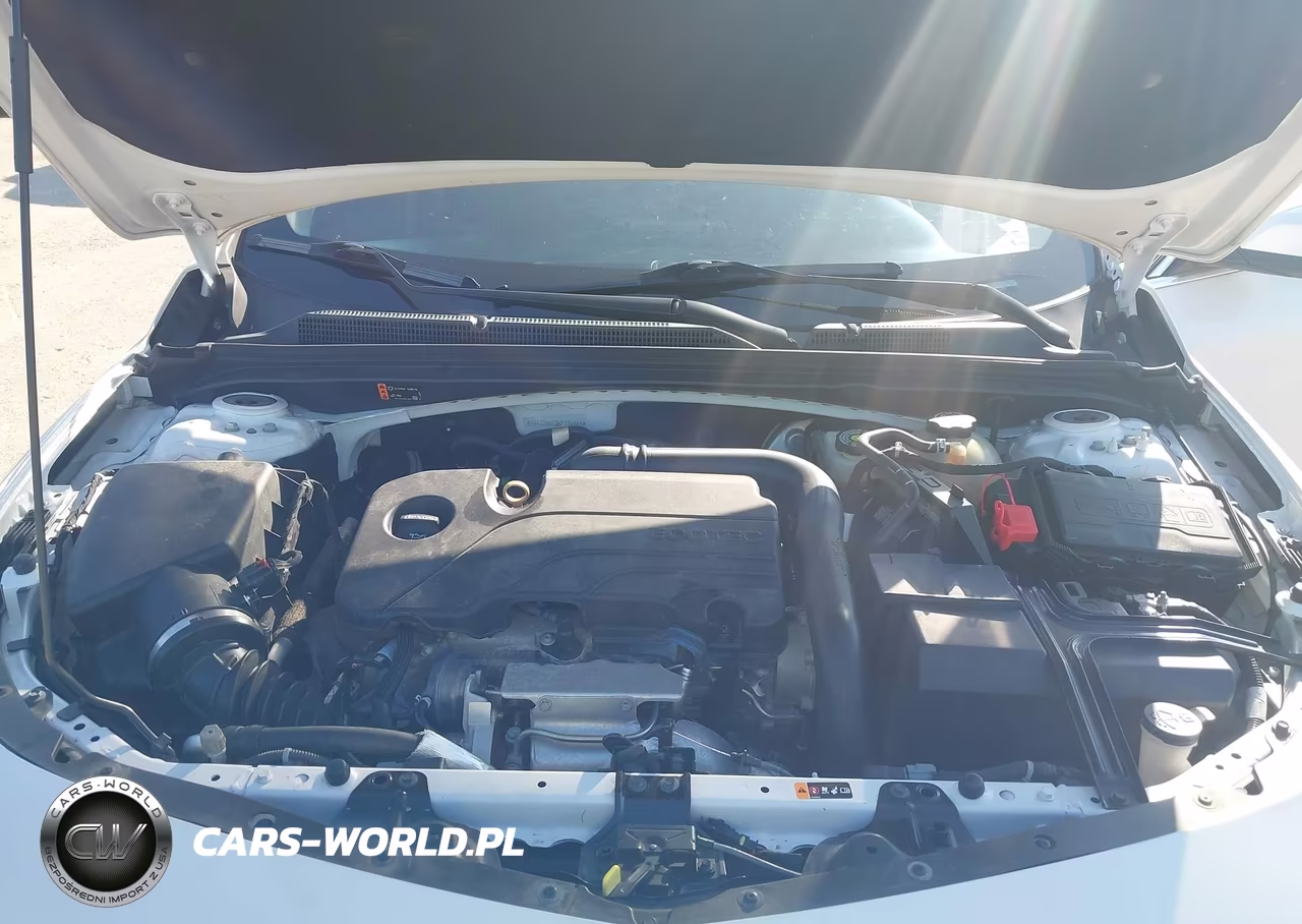 2019 Chevrolet Malibu Lt VIN:1G1ZD5ST0KF116484 - 10