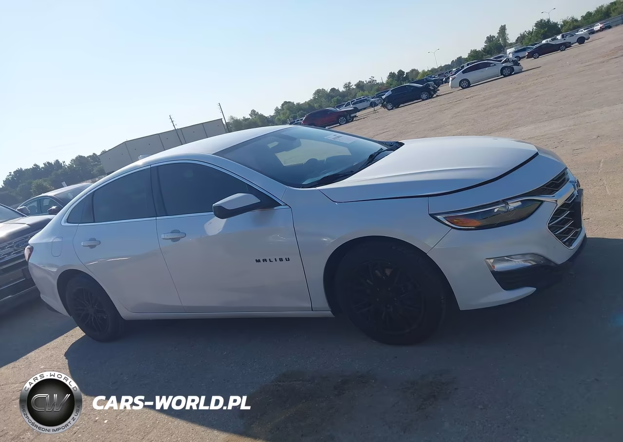2019 Chevrolet Malibu Lt VIN:1G1ZD5ST0KF116484 - 12
