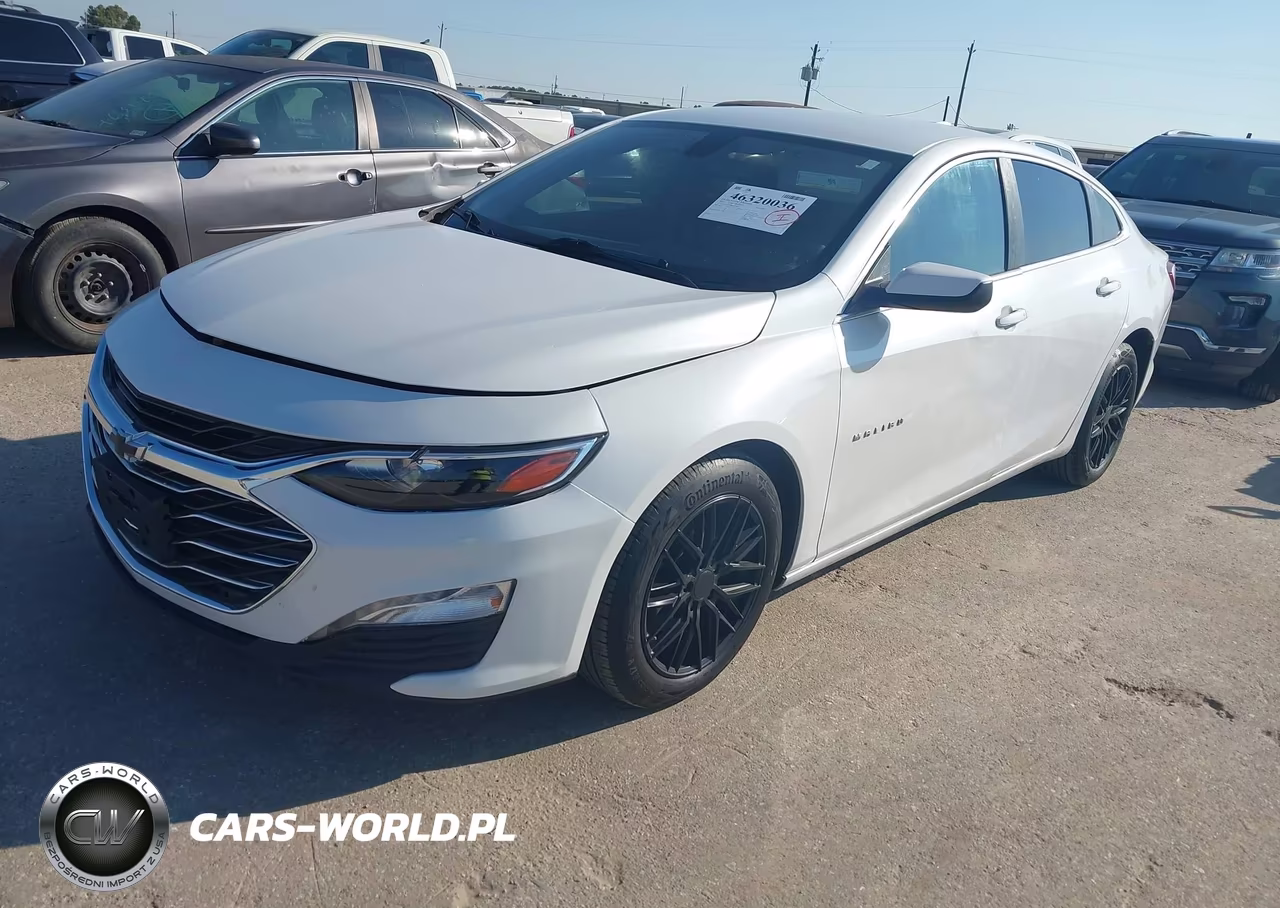 2019 Chevrolet Malibu Lt VIN:1G1ZD5ST0KF116484 - 2