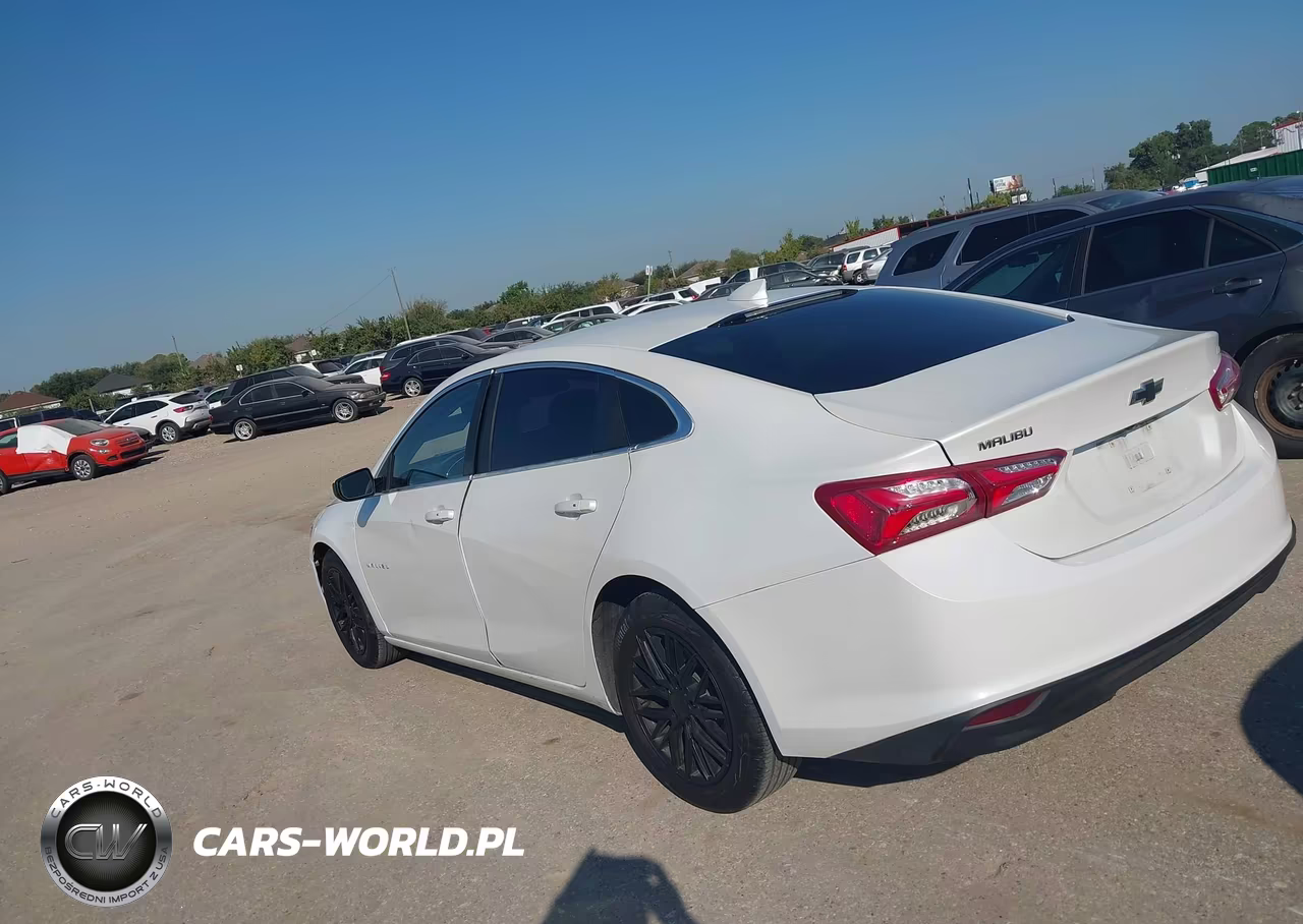 2019 Chevrolet Malibu Lt VIN:1G1ZD5ST0KF116484 - 3