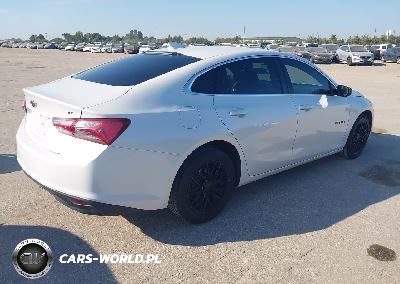 2019 Chevrolet Malibu Lt VIN:1G1ZD5ST0KF116484 - 4