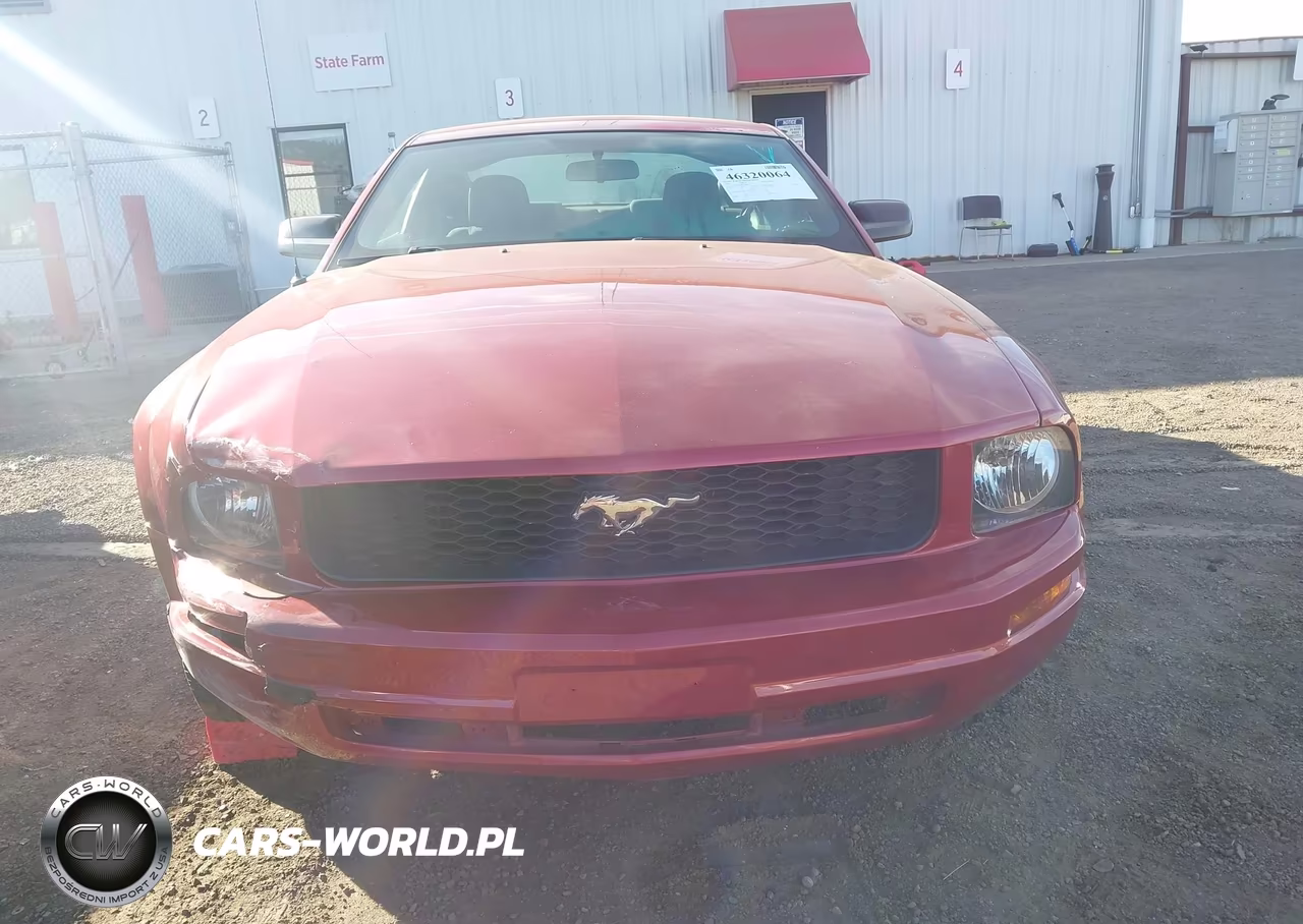 2009 Ford Mustang V6-V6 Premium VIN:1ZVHT80N895139231 - 12