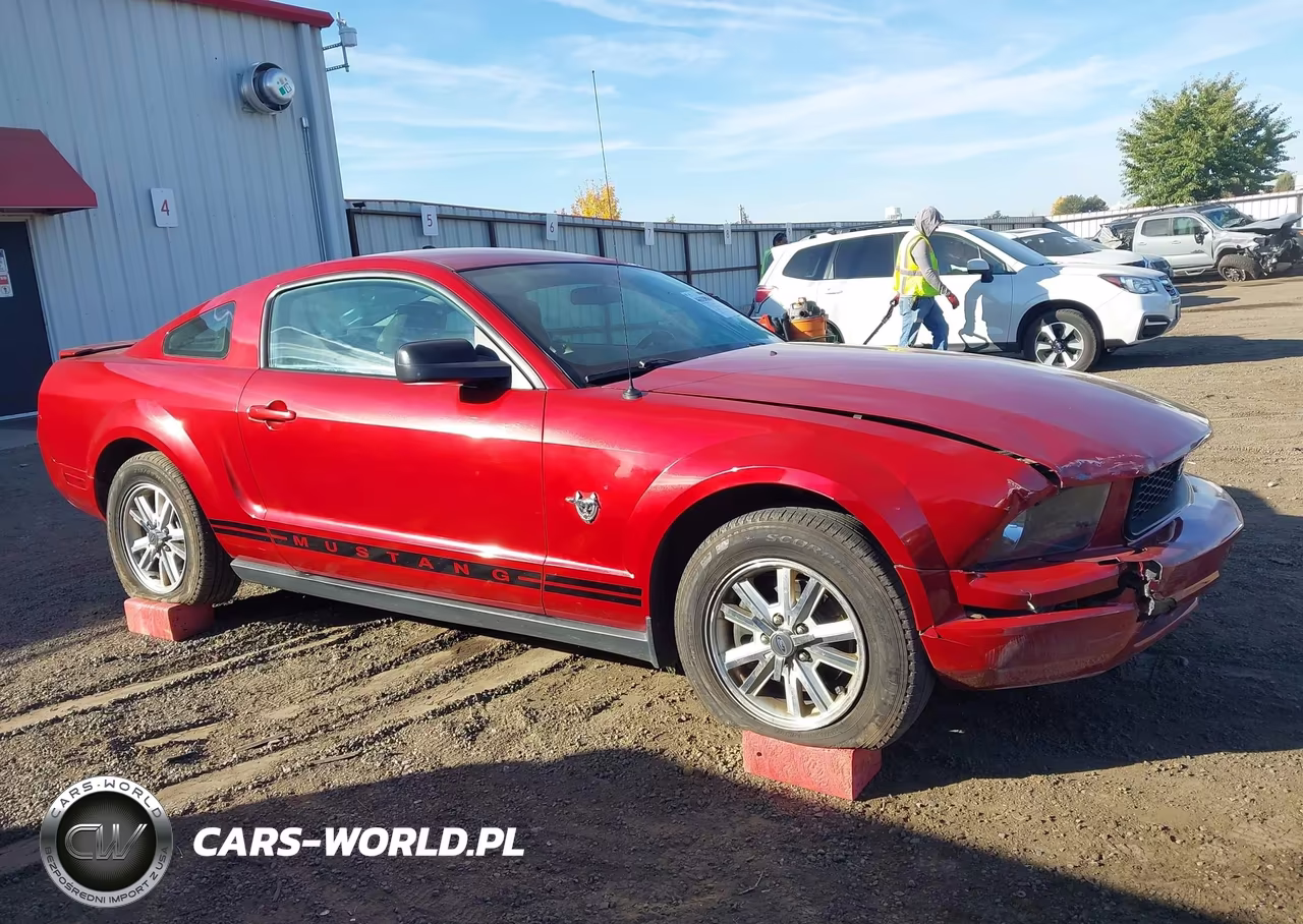 2009 Ford Mustang V6-V6 Premium VIN:1ZVHT80N895139231 - 13