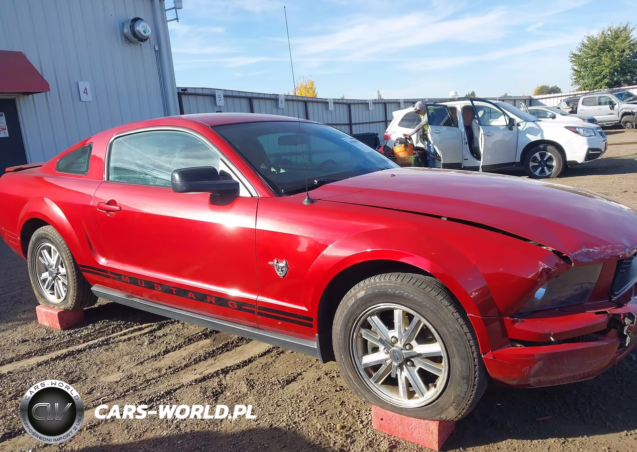 2009 Ford Mustang V6-V6 Premium VIN:1ZVHT80N895139231 - 17