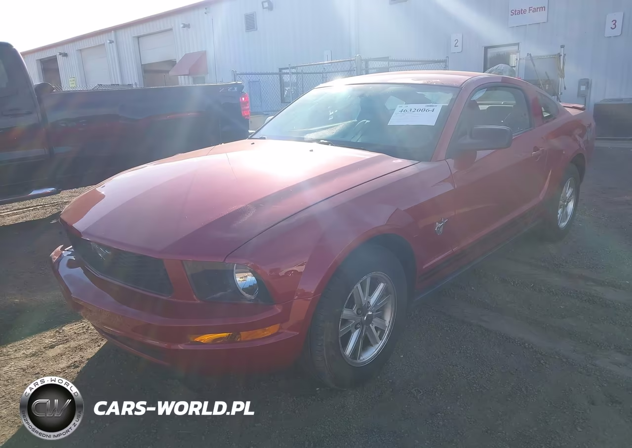 2009 Ford Mustang V6-V6 Premium VIN:1ZVHT80N895139231 - 2