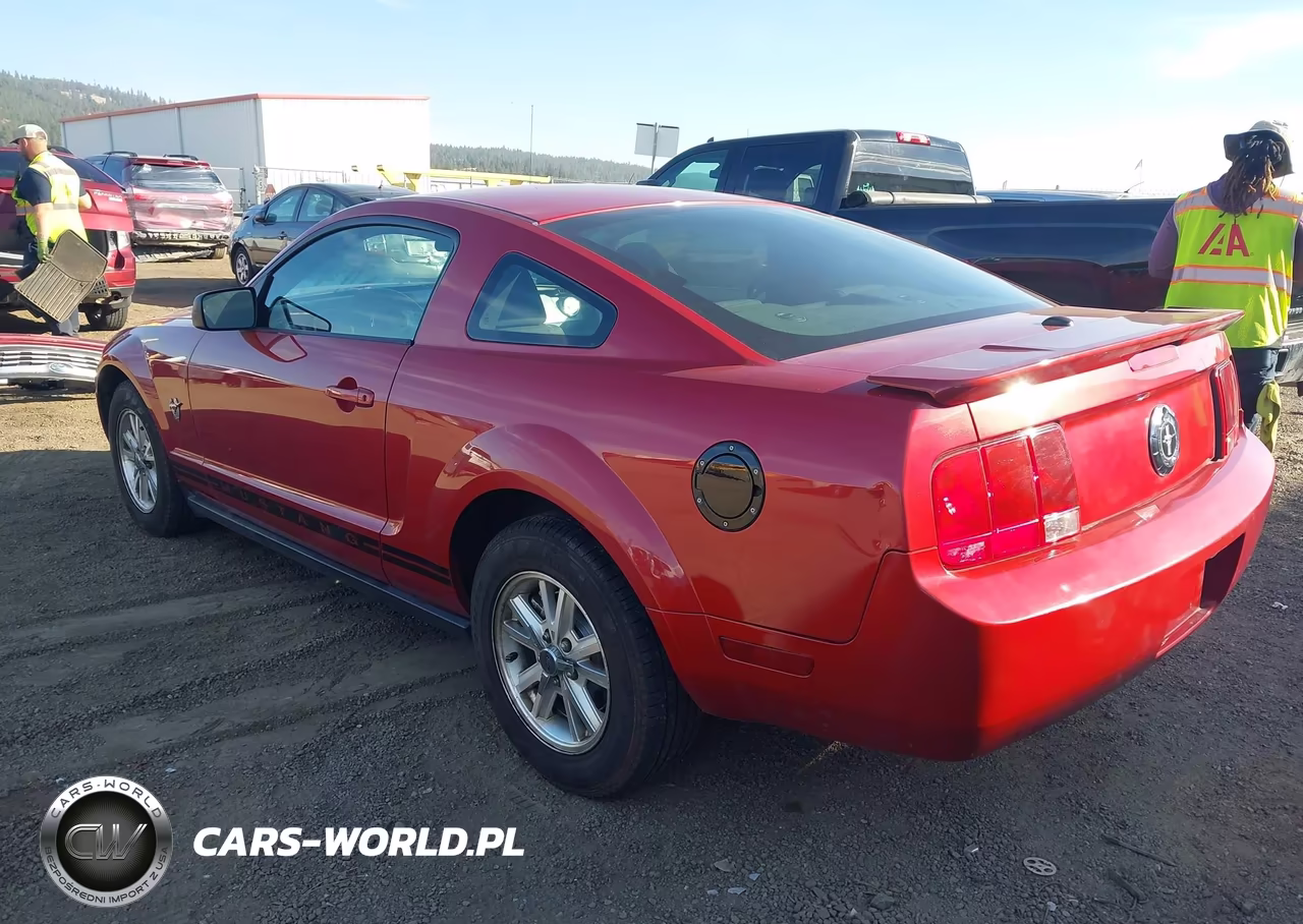 2009 Ford Mustang V6-V6 Premium VIN:1ZVHT80N895139231 - 3