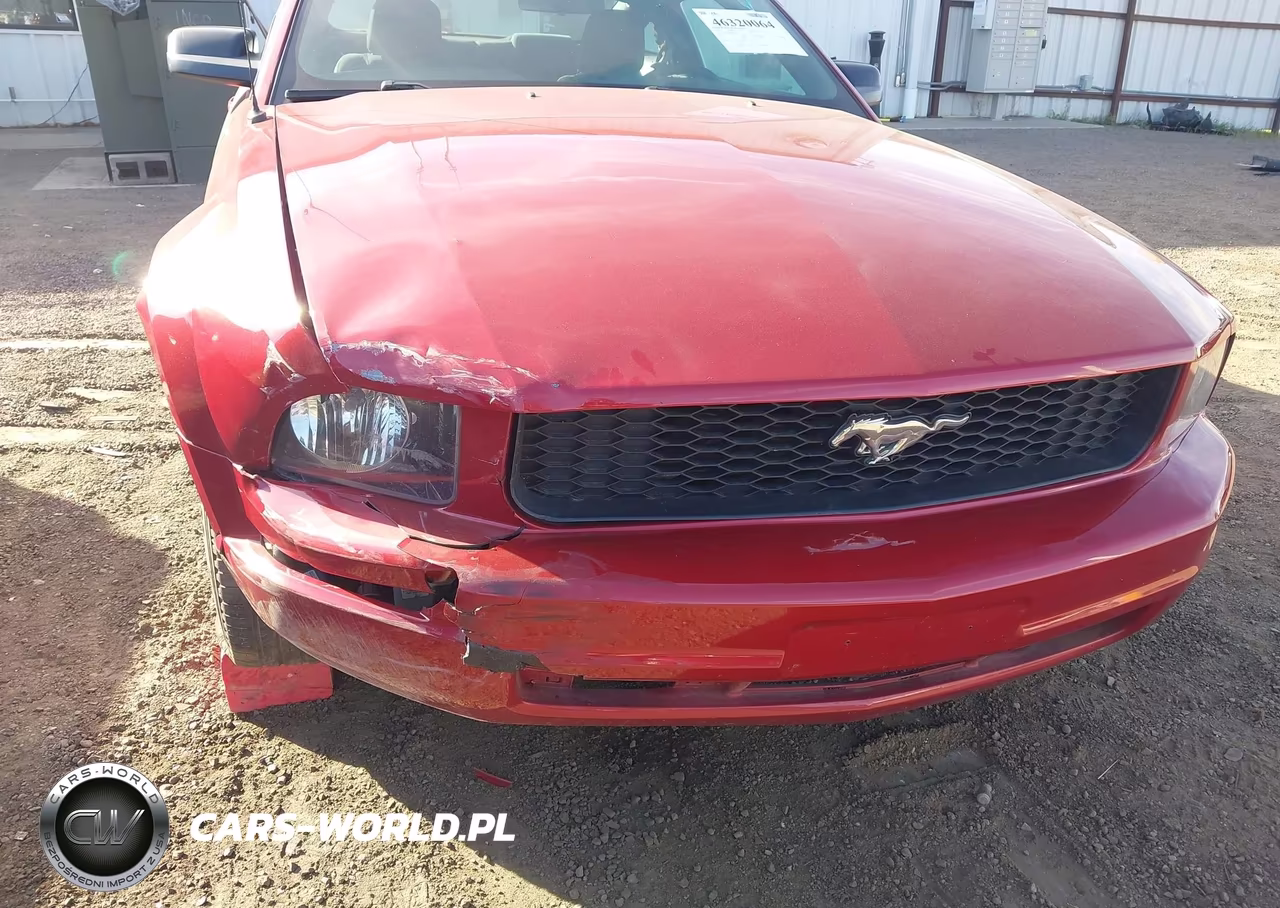 2009 Ford Mustang V6-V6 Premium VIN:1ZVHT80N895139231 - 6
