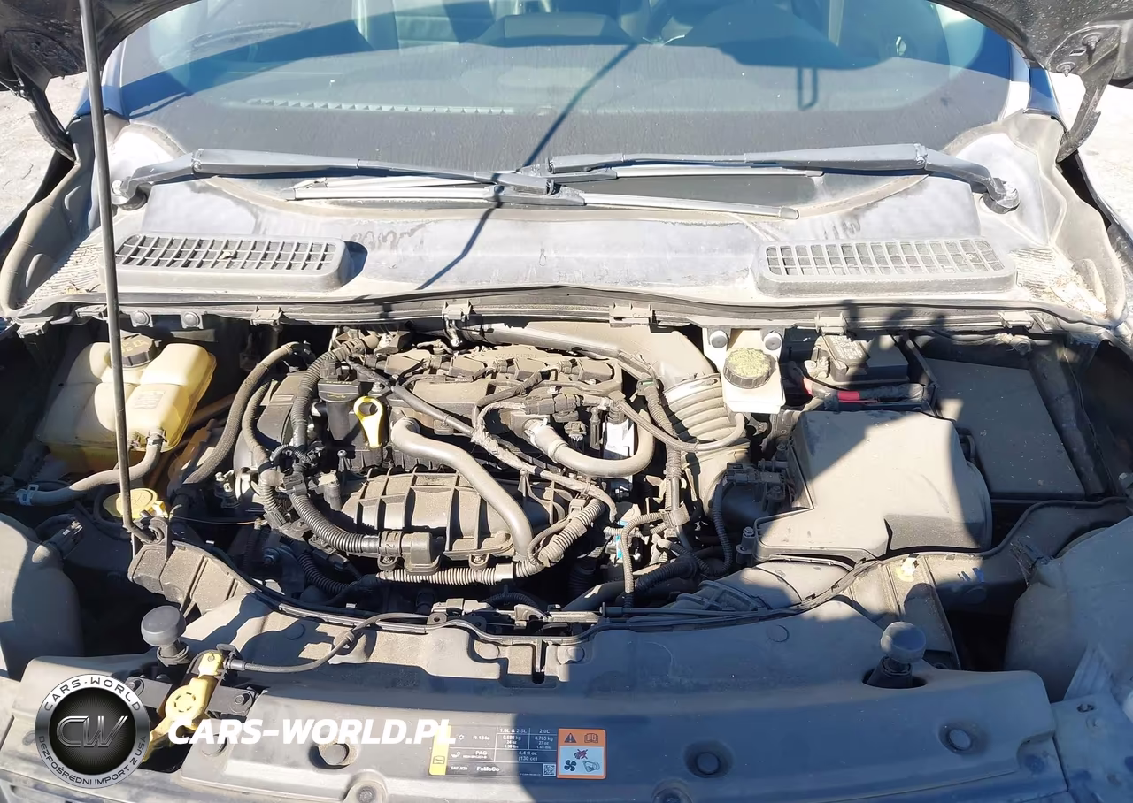 2013 Ford Escape Sel VIN:1FMCU0HX3DUA11538 - 10