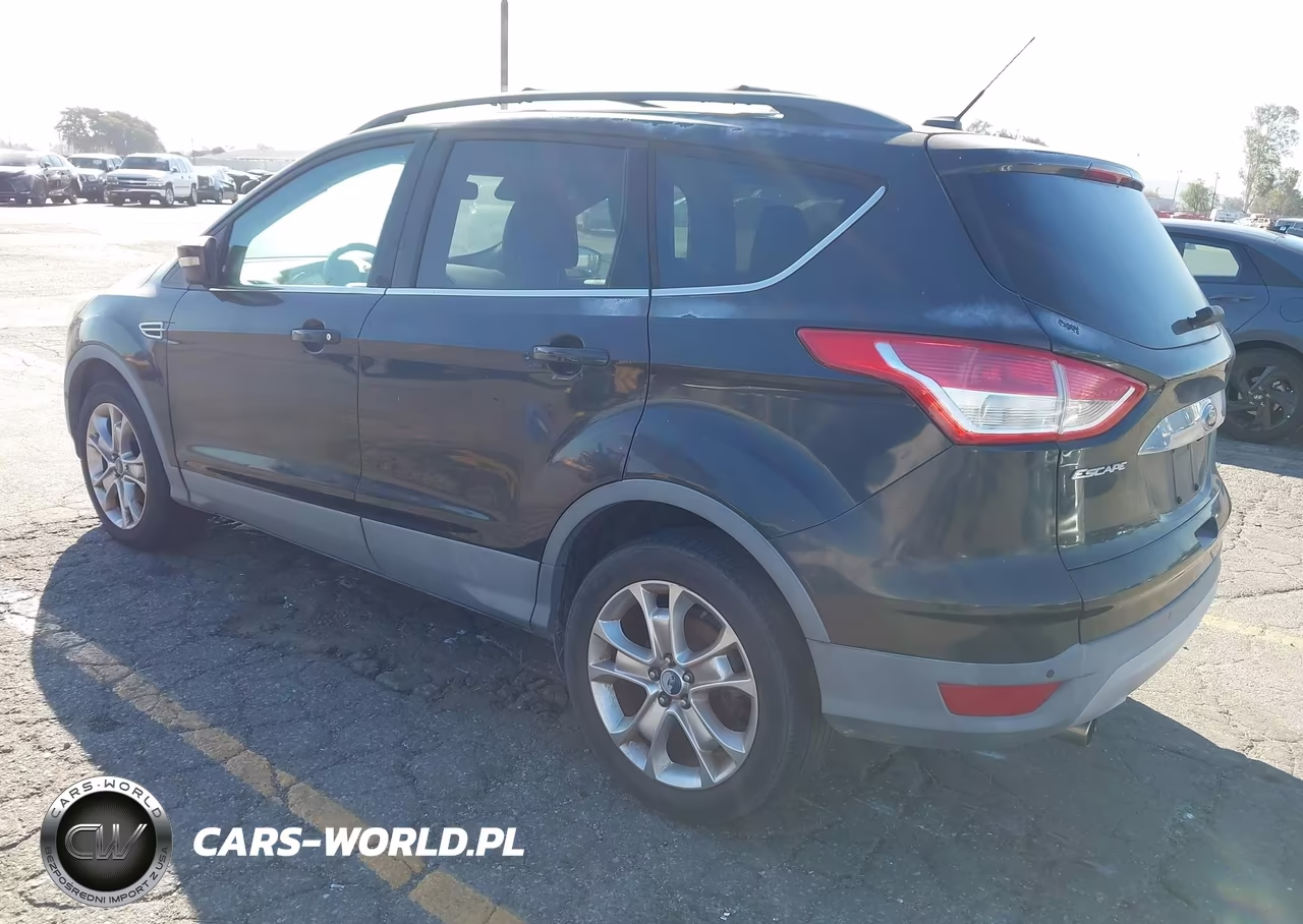 2013 Ford Escape Sel VIN:1FMCU0HX3DUA11538 - 3