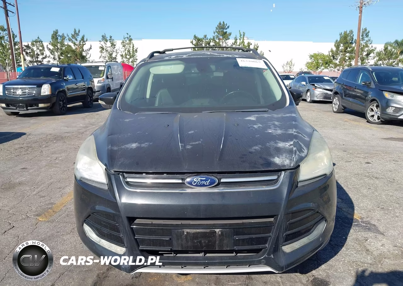 2013 Ford Escape Sel VIN:1FMCU0HX3DUA11538 - 6