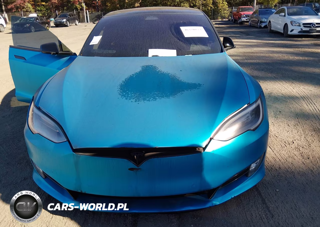 2018 Tesla Model S 100D-75D-P100D VIN:5YJSA1E29JF266769 - 10