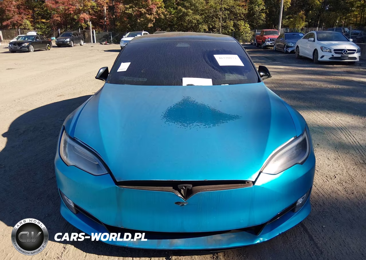 2018 Tesla Model S 100D-75D-P100D VIN:5YJSA1E29JF266769 - 11
