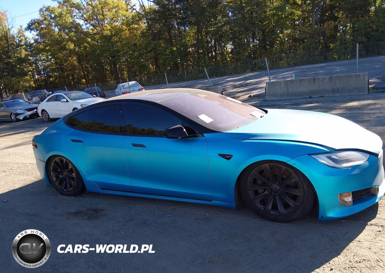 2018 Tesla Model S 100D-75D-P100D VIN:5YJSA1E29JF266769 - 12