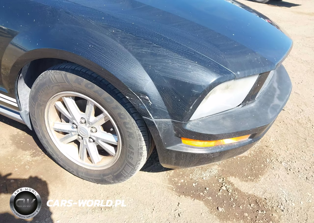 2007 Ford Mustang V6 Deluxe-V6 Premium VIN:1ZVFT80N675354322 - 6