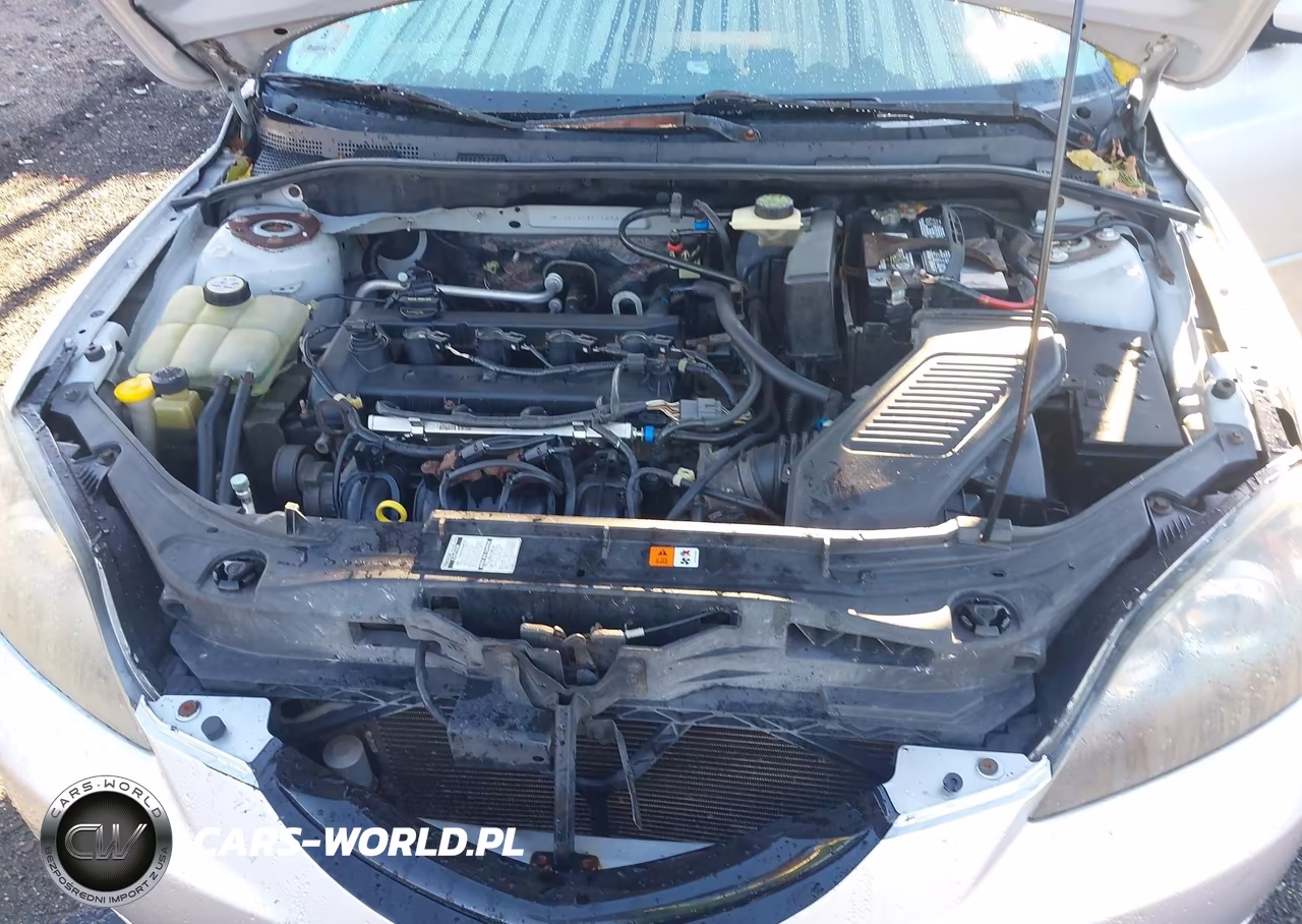 2004 Mazda Mazda3 S VIN:JM1BK143441189037 - 10