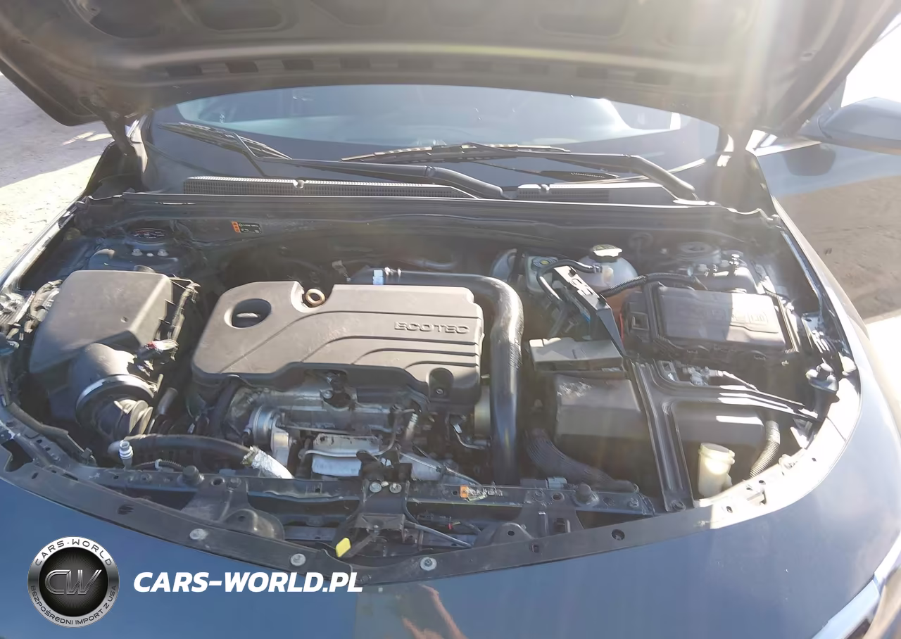 2019 Chevrolet Malibu Lt VIN:1G1ZD5ST4KF215650 - 10