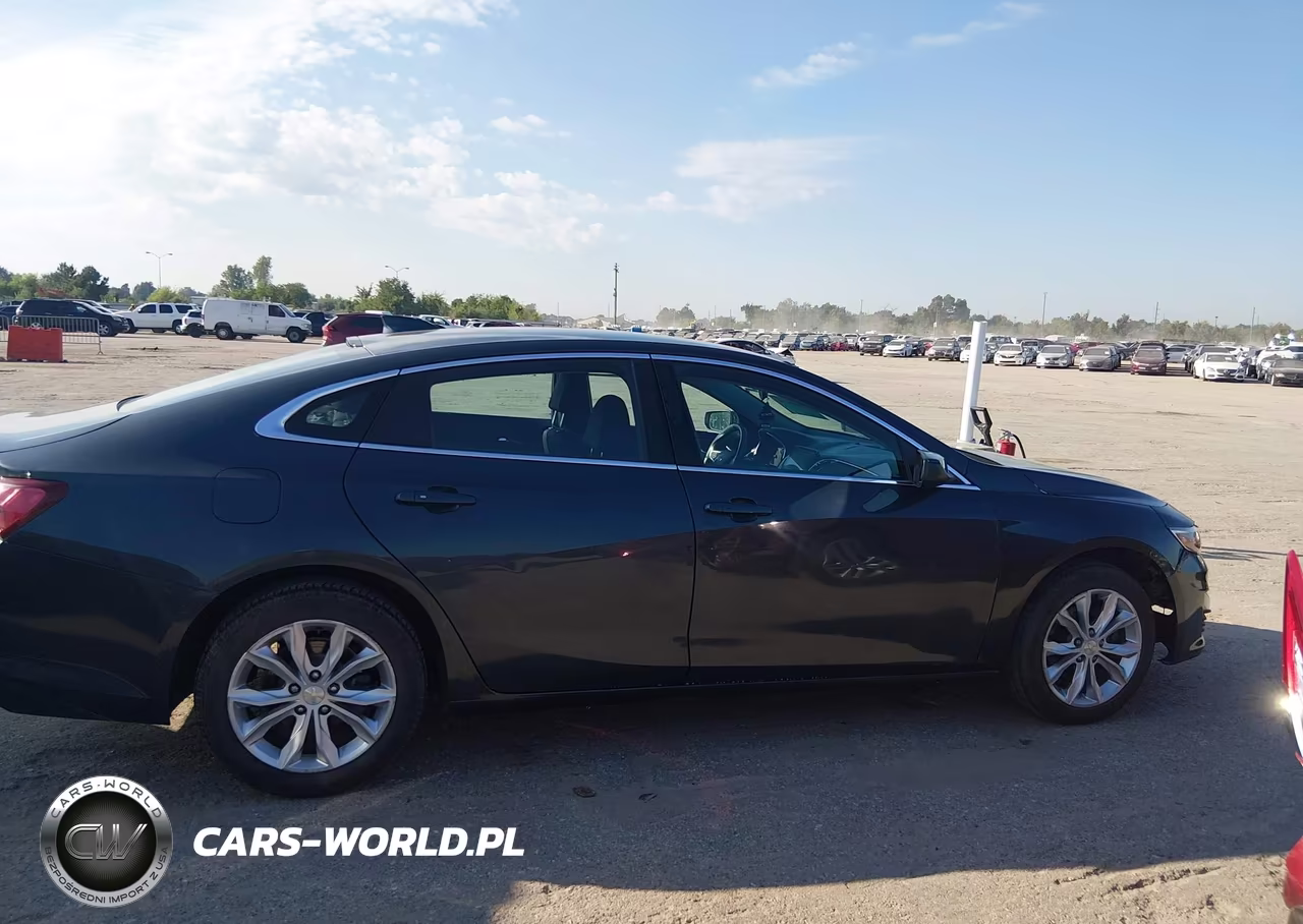 2019 Chevrolet Malibu Lt VIN:1G1ZD5ST4KF215650 - 13