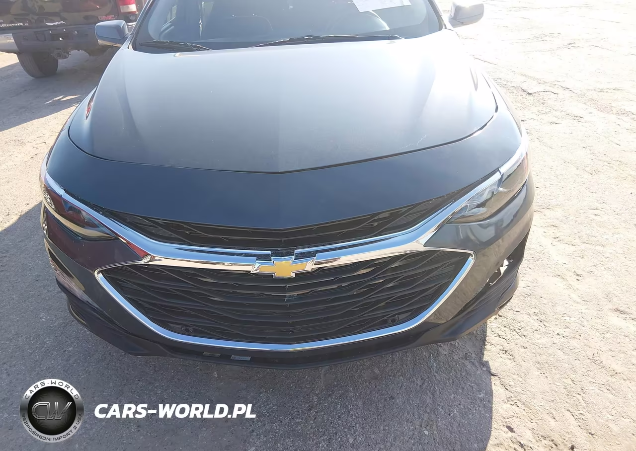 2019 Chevrolet Malibu Lt VIN:1G1ZD5ST4KF215650 - 6
