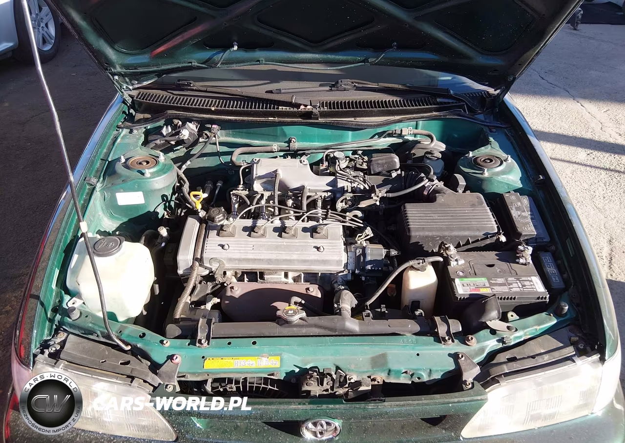 1997 Toyota Corolla Std VIN:1NXBA02E1VZ507788 - 10