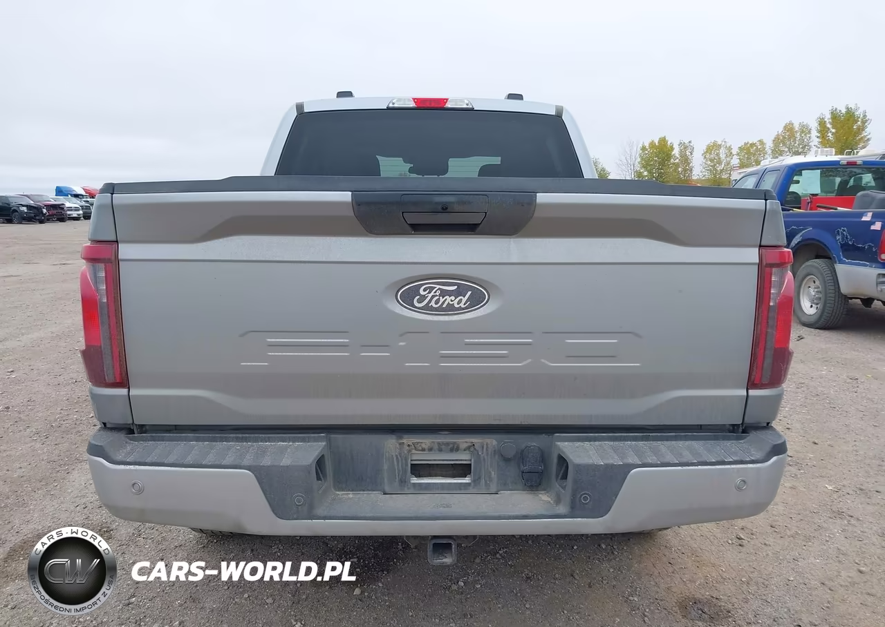 2025 Ford F-150 Xlt VIN:1FTFW3L80SKE77661 - 17