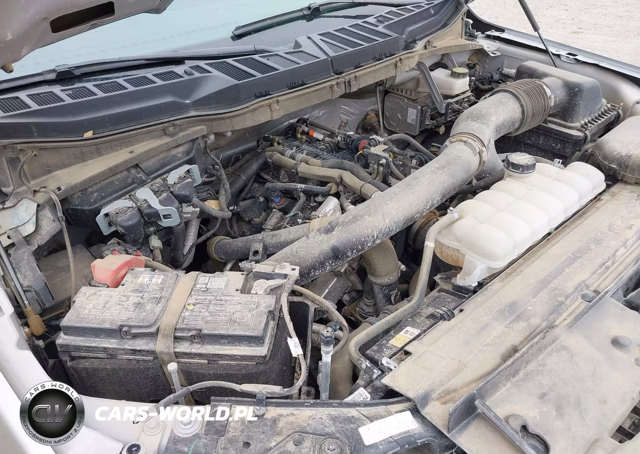 2025 Ford F-150 Xlt VIN:1FTFW3L80SKE77661 - 19