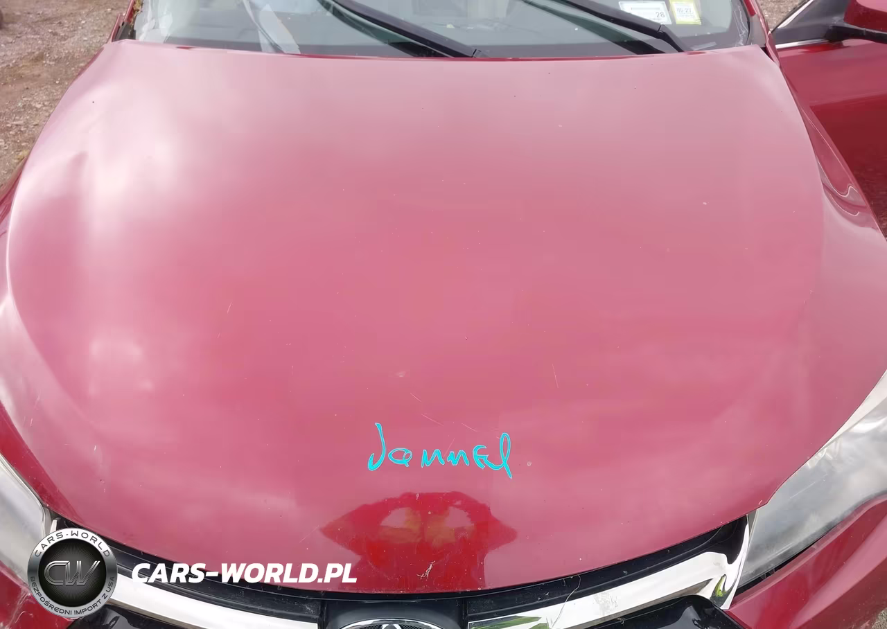 2016 Toyota Camry Se VIN:4T1BF1FK1GU515268 - 10
