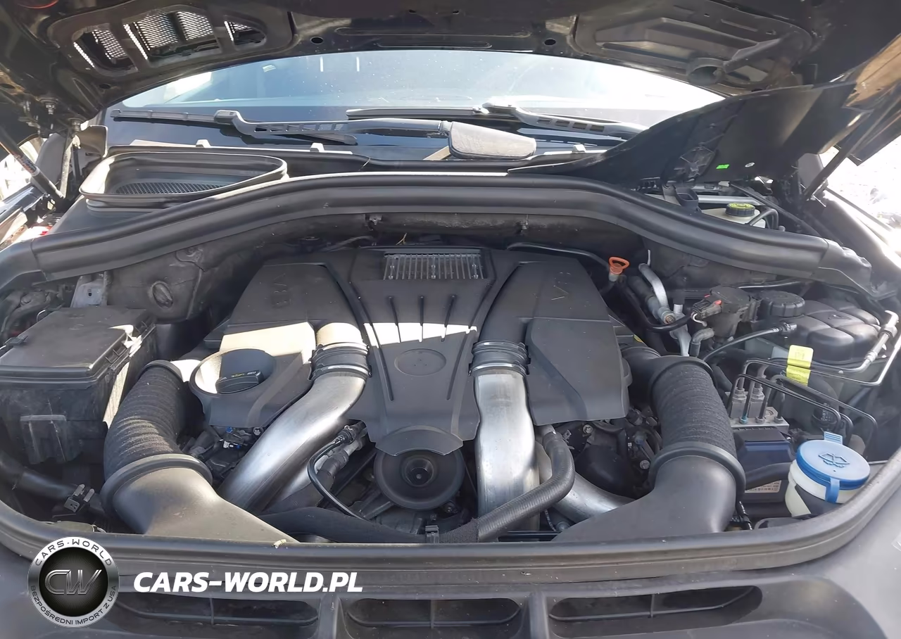 MERCEDES-BENZ GL 550 4MA VIN:4JGDF7DE2EA375951 - 10
