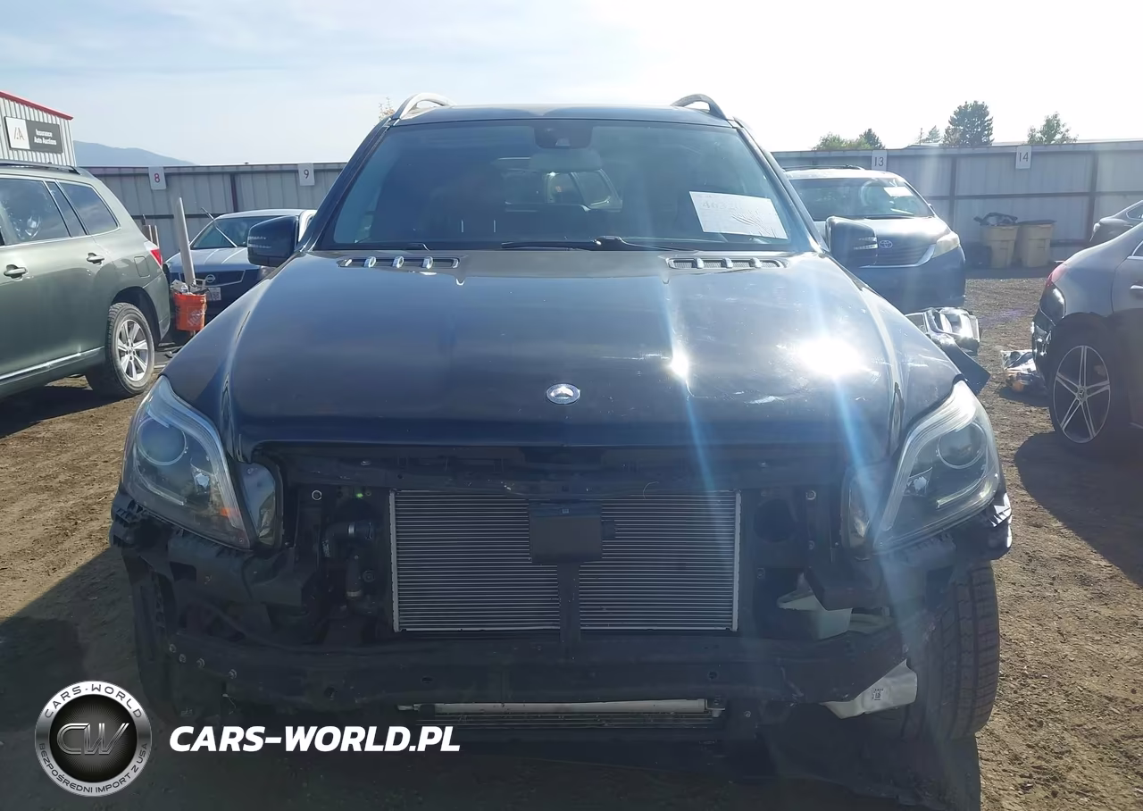 MERCEDES-BENZ GL 550 4MA VIN:4JGDF7DE2EA375951 - 13