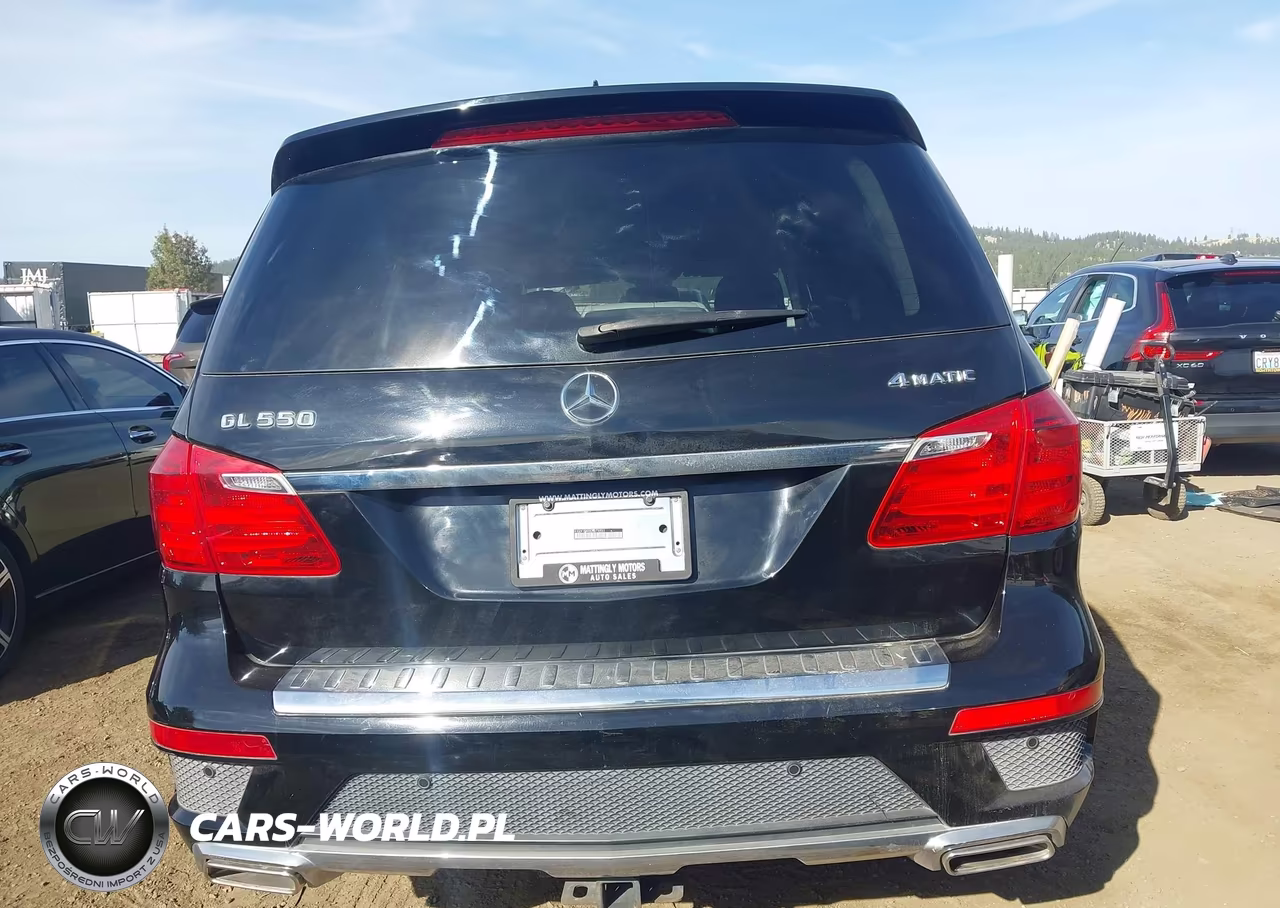 MERCEDES-BENZ GL 550 4MA VIN:4JGDF7DE2EA375951 - 17