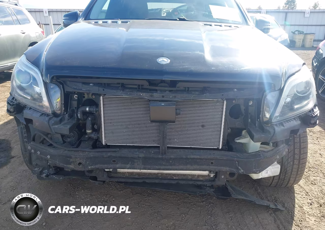 MERCEDES-BENZ GL 550 4MA VIN:4JGDF7DE2EA375951 - 6