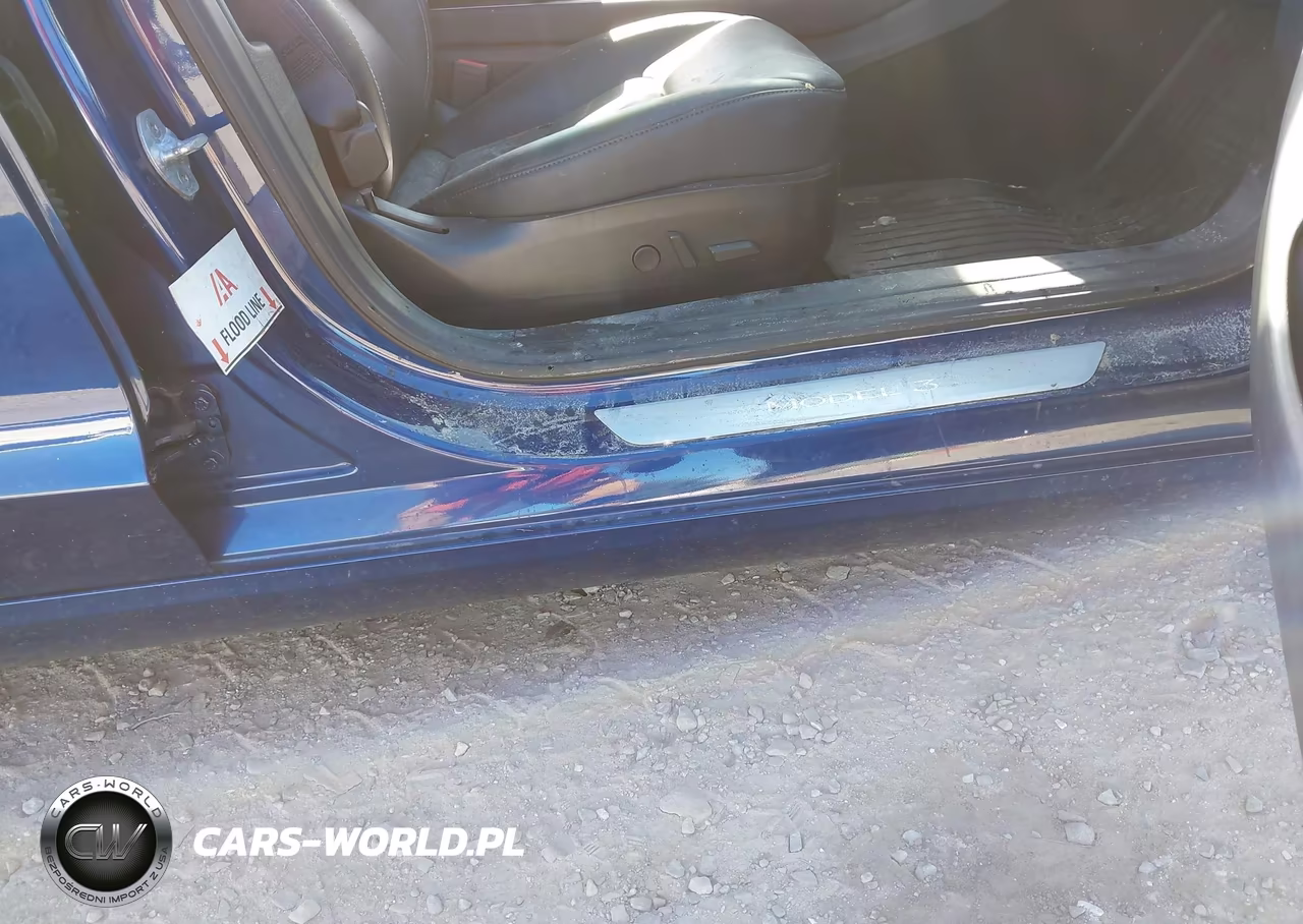 2019 Tesla Model 3 Long Range-Mid Range-Standard Range-Standard Range Plus VIN:5YJ3E1EA9KF309251 - 12