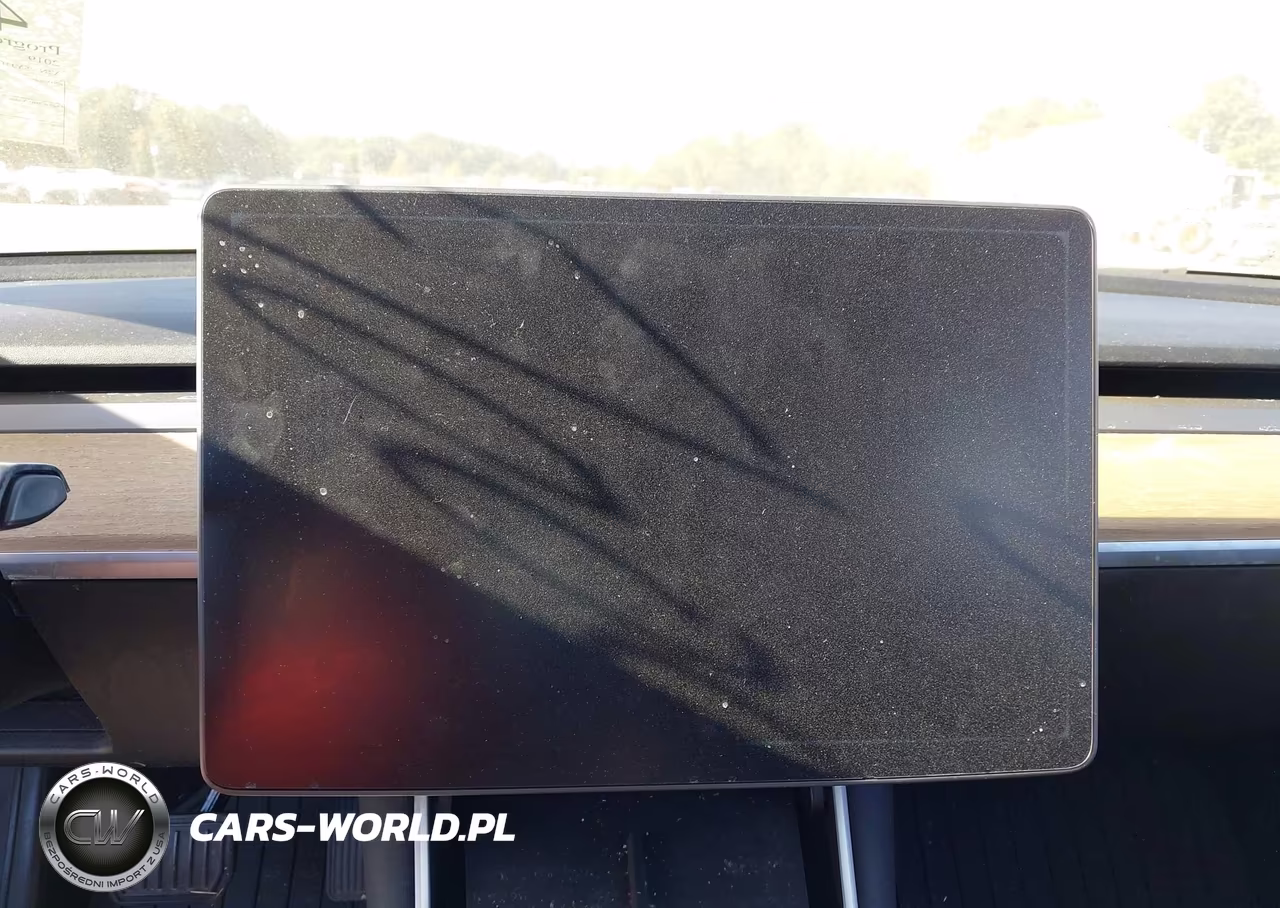 2019 Tesla Model 3 Long Range-Mid Range-Standard Range-Standard Range Plus VIN:5YJ3E1EA9KF309251 - 7