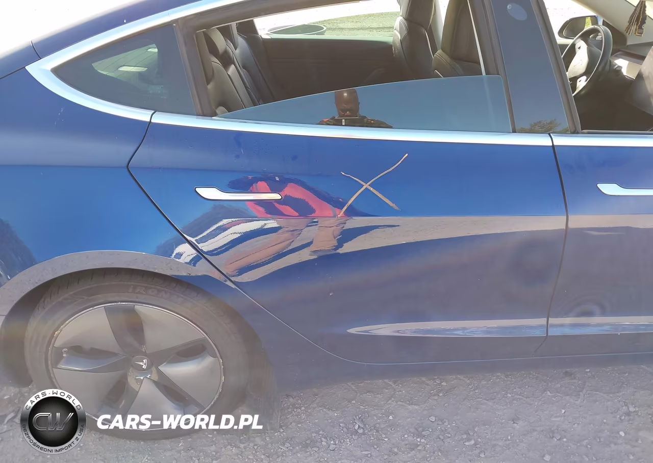 2019 Tesla Model 3 Long Range-Mid Range-Standard Range-Standard Range Plus VIN:5YJ3E1EA9KF309251 - 8