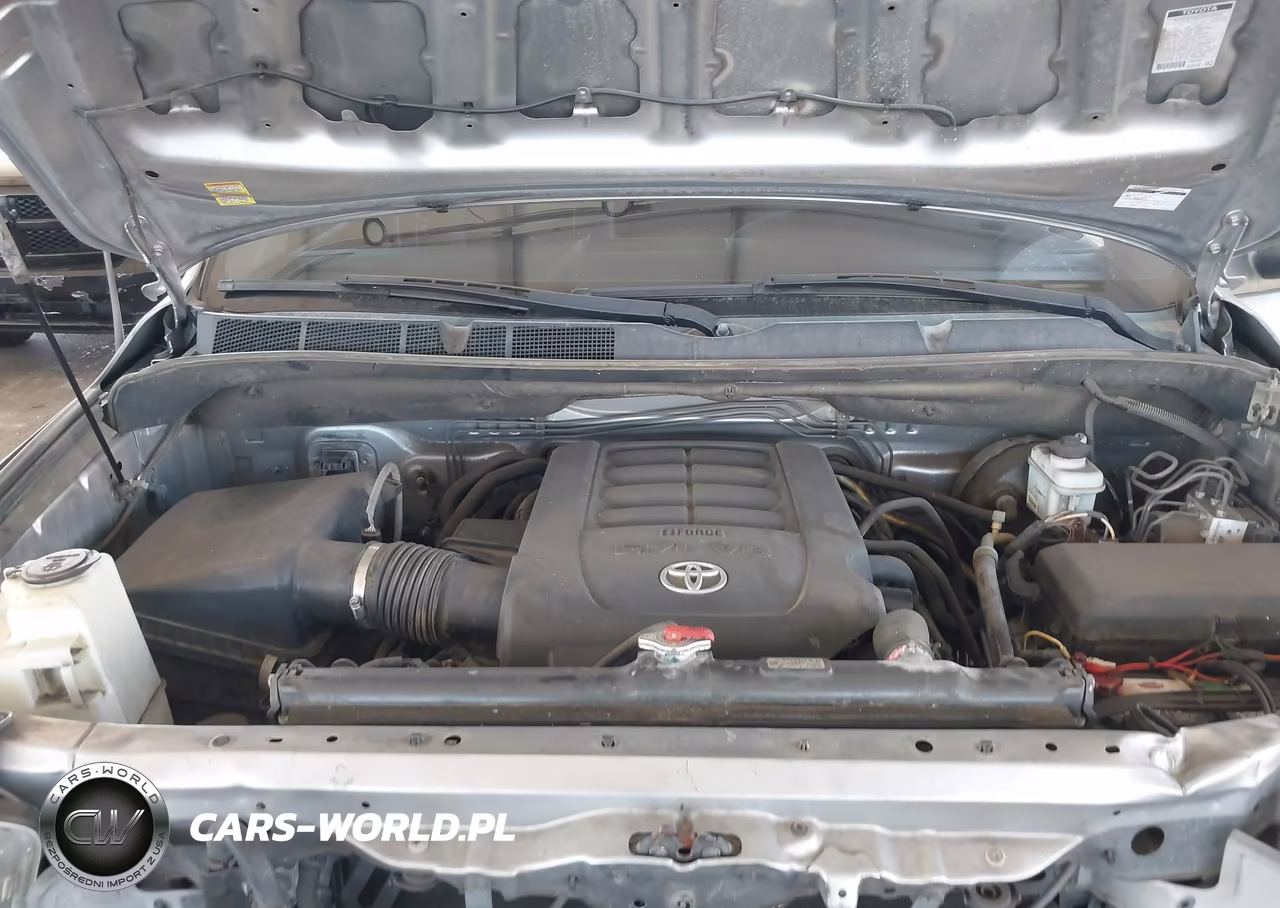 2013 Toyota Tundra Platinum 5.7L V8 VIN:5TFHY5F10DX287815 - 10