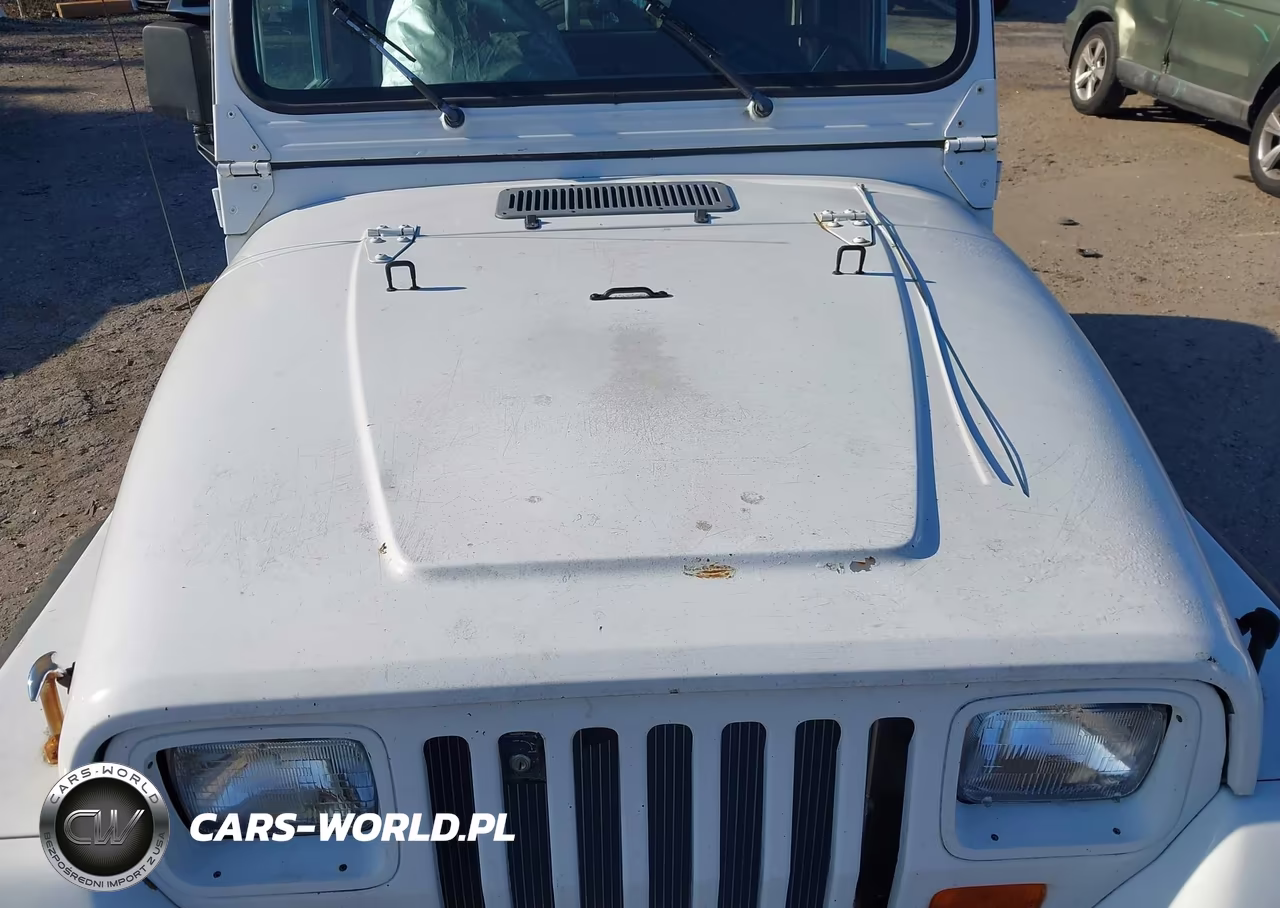 1995 Jeep Wrangler - Yj S-Rio Grande VIN:1J4FY19P4SP205222 - 10